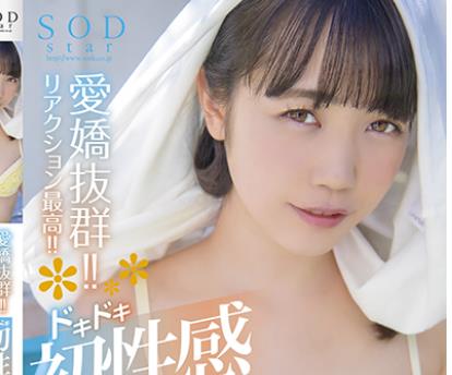 骑兵破解STARS-493 愛嬌抜群！！リアクション最高！！ドキドキ初性感開発！！！全てが初めてづくしの4本番！5コーナー SODstar 工藤ゆら